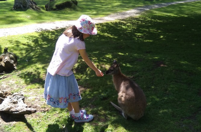 Kya enjoying a family day out at the zoo